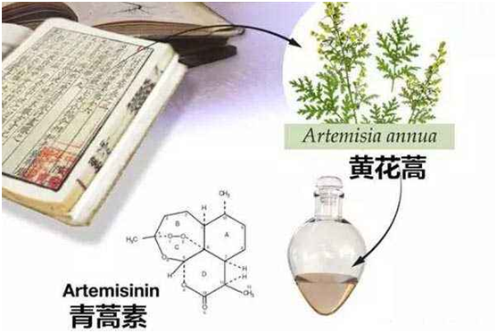 千亿体育官网,千亿体育（中国）：向中医药看齐，与世界共享中医药文化(图1)